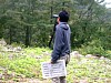 画像は、一般鳥類-ラインセンサス調査の様子