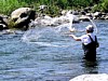 画像は、投網による魚類捕獲調査