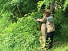 画像は、植物フロラ調査の様子