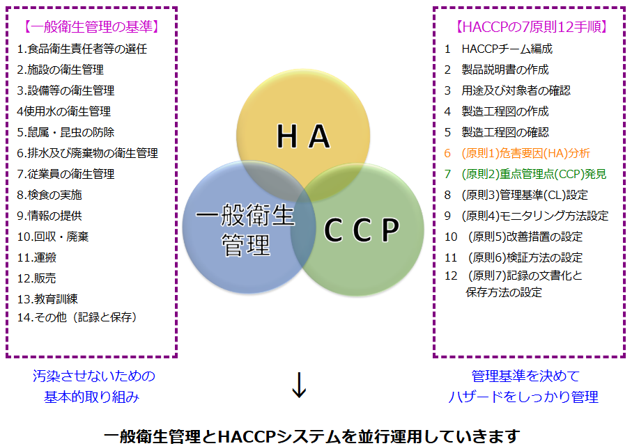 一般衛生管理とHACCPの並行運用